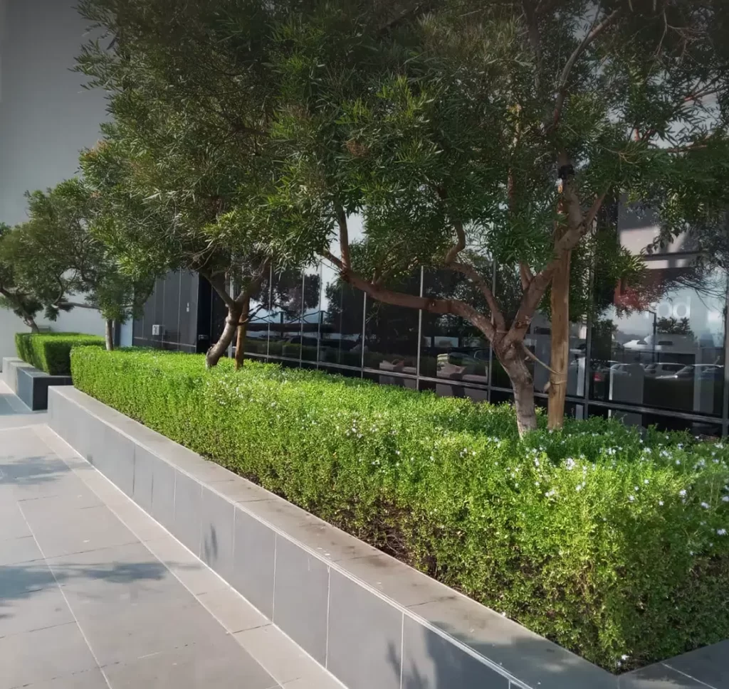 What’s Included in a Commercial Landscape Maintenance Package?