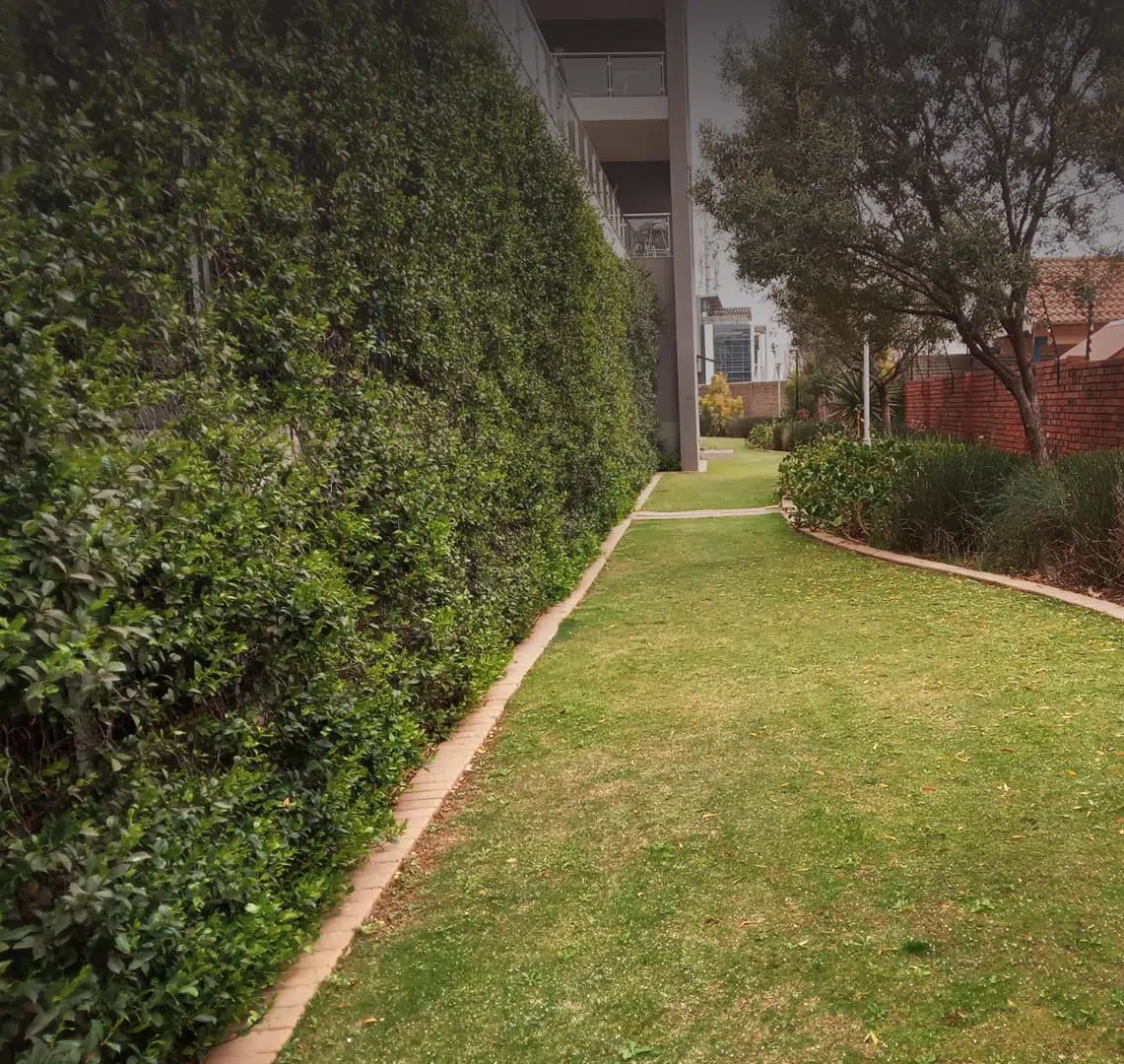 Top Landscaping Company Johannesburg | Gauteng