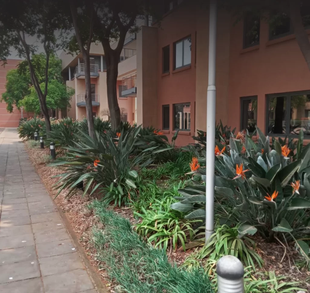 Landscaper Johannesburg
