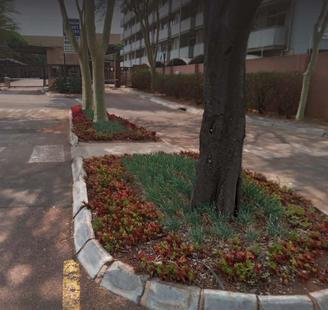 Top Landscaping Company Johannesburg | Gauteng